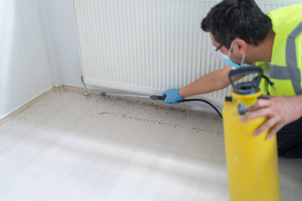 Best Pest Control Near Me  in Putnam Lake, NY