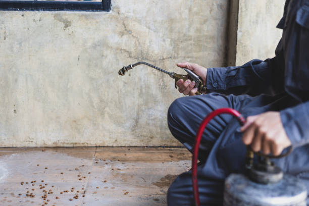 Best Best Pest Control Companies  in Putnam Lake, NY